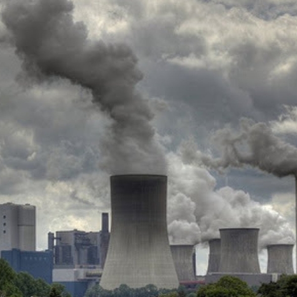 I furbetti dell'asta