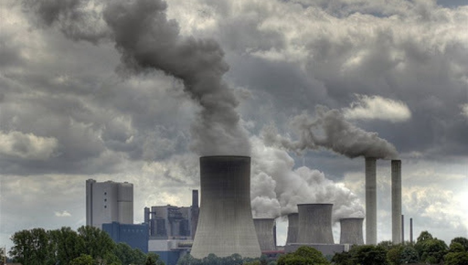 I furbetti dell'asta